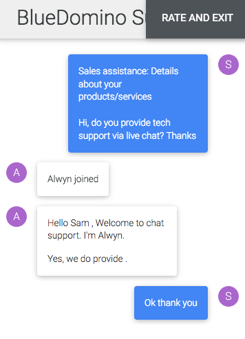 bluedomino.com support chat 