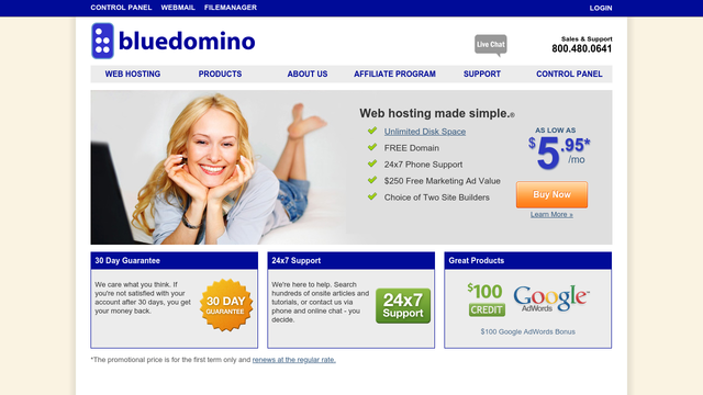 BlueDomino.com Thumbnail